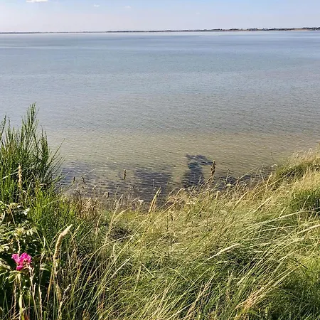 Thatched On The Limfjord's Edge