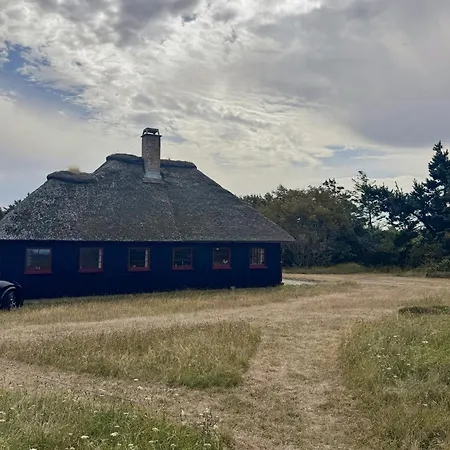 Thatched On The Limfjord's Edge *